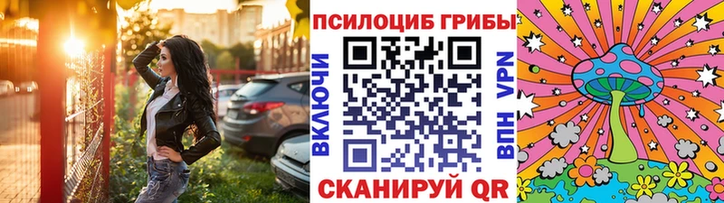 Галлюциногенные грибы Psilocybe Дигора